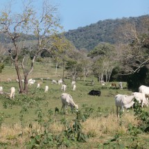 Paraguay